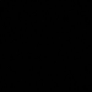 Meet your Posher, Cynthia